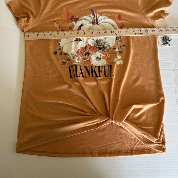 Thankful Pumpkin T-Shirt - Picture 3 of 9